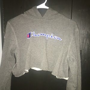 Champion Cropped Hoodie